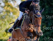 MOYERSON Ellyott GioCav2013 S5 3520 : Campionati Italiani Giovani Cavalli, Cattolica, Ellyott, MOYERSON Filippo, ph Stefano Secchi ©