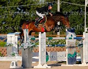 MOYERSON Ellyott GioCav2013 S5 3522 : Campionati Italiani Giovani Cavalli, Cattolica, Ellyott, MOYERSON Filippo, ph Stefano Secchi ©