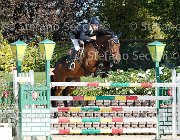 MOYERSON Ellyott GioCav2013 S6 7651 : Campionati Italiani Giovani Cavalli, Cattolica, Ellyott, MOYERSON Filippo, ph Stefano Secchi ©