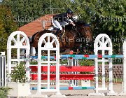 MOYERSON Ellyott GioCav2013 S6 7656 : Campionati Italiani Giovani Cavalli, Cattolica, Ellyott, MOYERSON Filippo, ph Stefano Secchi ©