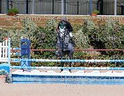 Murruzzu Brian GioCav2013 S5 1655 : Brian, Campionati Italiani Giovani Cavalli, Cattolica, Murruzzu Gianleonardo, ph Stefano Secchi ©