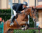 Ossa Quaynar GioCav2013 S5 4332 : Campionati Italiani Giovani Cavalli, Cattolica, Ossa Mariano, Quaynar, ph Stefano Secchi ©