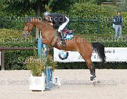 Ossa Unforgettable GioCav2013 S6 7860 : Horses, Ossa Mariano, Unforgettable, ph Stefano Secchi ©