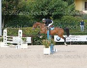 Ossa Unforgettable GioCav2013 S6 7861 : Horses, Ossa Mariano, Unforgettable, ph Stefano Secchi ©