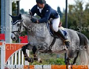 Pacetti Domino GioCav2013 S5 3272 : Campionati Italiani Giovani Cavalli, Cattolica, Domino di San Patrignano, Pacetti Nicola, ph Stefano Secchi ©