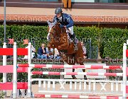 Pacetti Quenda GioCav2013 S5 4130 : Campionati Italiani Giovani Cavalli, Cattolica, Pacetti Nicola, Quenda, ph Stefano Secchi ©