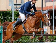 Pacetti Quenda GioCav2013 S5 4132 : Campionati Italiani Giovani Cavalli, Cattolica, Pacetti Nicola, Quenda, ph Stefano Secchi ©