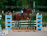 Paffetti Kashmire GioCav2013 S5 0958 : Campionati Italiani Giovani Cavalli, Cattolica, Kashmire, Paffetti Michele, ph Stefano Secchi ©