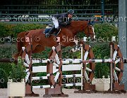 Paffetti Kashmire GioCav2013 S5 0960 : Campionati Italiani Giovani Cavalli, Cattolica, Kashmire, Paffetti Michele, ph Stefano Secchi ©