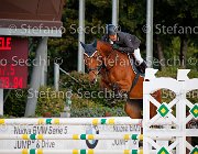 Paffetti Utah GioCav2013 S5 1308 : Campionati Italiani Giovani Cavalli, Cattolica, Paffetti Michele, Utah, ph Stefano Secchi ©