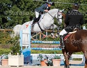 PALMIZI Corjulana GioCav2013 S6 7533 : Campionati Italiani Giovani Cavalli, Cattolica, Corjulana, PALMIZI Gianluca, ph Stefano Secchi ©