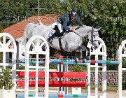 PALMIZI Corjulana GioCav2013 S6 7536 : Campionati Italiani Giovani Cavalli, Cattolica, Corjulana, PALMIZI Gianluca, ph Stefano Secchi ©