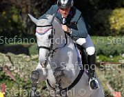 PALMIZI Corjulana GioCav2013 S6 7537 : Campionati Italiani Giovani Cavalli, Cattolica, Corjulana, PALMIZI Gianluca, ph Stefano Secchi ©