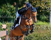 Patrese Diamante GioCav2013 S5 1606 : Campionati Italiani Giovani Cavalli, Cattolica, Diamante, Patrese Beatrice, ph Stefano Secchi ©