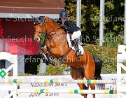 Patrese Diamante GioCav2013 S5 1611 : Campionati Italiani Giovani Cavalli, Cattolica, Diamante, Patrese Beatrice, ph Stefano Secchi ©