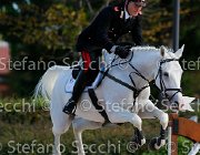 Piras Piraula GioCav2013 S5 1407 : Campionati Italiani Giovani Cavalli, Cattolica, Piras Salvatore, Piraula, ph Stefano Secchi ©
