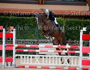 Pontiggia Jane GioCav2013 S5 4411 : Campionati Italiani Giovani Cavalli, Cattolica, Jane, Pontiggia Stefano, ph Stefano Secchi ©