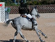 PRANDI Centaryllis GioCav2013 S5 1794 : Campionati Italiani Giovani Cavalli, Cattolica, Centaryllis, PRANDI Roberto, ph Stefano Secchi ©