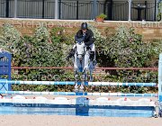 PRANDI Centaryllis GioCav2013 S5 1797 : Campionati Italiani Giovani Cavalli, Cattolica, Centaryllis, PRANDI Roberto, ph Stefano Secchi ©