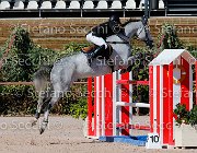 PRANDI Centaryllis GioCav2013 S5 1801 : Campionati Italiani Giovani Cavalli, Cattolica, Centaryllis, PRANDI Roberto, ph Stefano Secchi ©