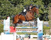 PRANDI Gioia GioCav2013 S6 7506 : Campionati Italiani Giovani Cavalli, Cattolica, Gioia del Castegno, PRANDI Roberto, ph Stefano Secchi ©