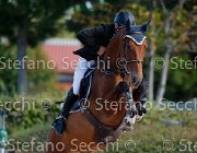 PRANDI Opera GioCav2013 S5 1478 : Campionati Italiani Giovani Cavalli, Cattolica, Opera del Castegno, PRANDI Roberto, ph Stefano Secchi ©