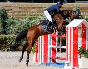 Ripamonti Casita GioCav2013 S5 1874 : Campionati Italiani Giovani Cavalli, Casita, Cattolica, Ripamonti Giuseppe, ph Stefano Secchi ©