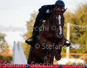 Sanfelice Indiana GioCav2013 S5 3552 : Campionati Italiani Giovani Cavalli, Cattolica, Indiana del Terriccio, Sanfelice Antonio, ph Stefano Secchi ©