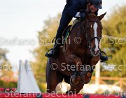 Sanfelice Indiana GioCav2013 S5 3553 : Campionati Italiani Giovani Cavalli, Cattolica, Indiana del Terriccio, Sanfelice Antonio, ph Stefano Secchi ©