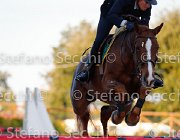 Sanfelice Indiana GioCav2013 S5 3554 : Campionati Italiani Giovani Cavalli, Cattolica, Indiana del Terriccio, Sanfelice Antonio, ph Stefano Secchi ©