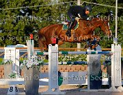Sanfelice Indiana GioCav2013 S5 3558 : Campionati Italiani Giovani Cavalli, Cattolica, Indiana del Terriccio, Sanfelice Antonio, ph Stefano Secchi ©