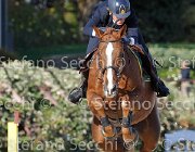 Sanfelice Indiana GioCav2013 S6 7704 : Campionati Italiani Giovani Cavalli, Cattolica, Indiana del Terriccio, Sanfelice Antonio, ph Stefano Secchi ©
