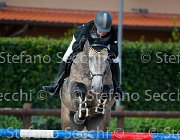 Savio Quaresmas GioCav2013 S5 4525 : Campionati Italiani Giovani Cavalli, Cattolica, Quaresmas, Savio Daniela, ph Stefano Secchi ©