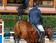 Sbardellati Radiosa GioCav2013 S5 4100 : Campionati Italiani Giovani Cavalli, Cattolica, Radiosa di Franciacorta, Sbardellati Claudio, ph Stefano Secchi ©