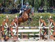 Scianaro Begonia GioCav2013 S6 7417 : Begonia, Campionati Italiani Giovani Cavalli, Cattolica, Scianaro Andrea, ph Stefano Secchi ©
