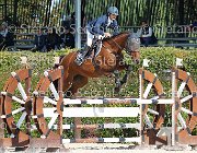 Scianaro Begonia GioCav2013 S6 7418 : Begonia, Campionati Italiani Giovani Cavalli, Cattolica, Scianaro Andrea, ph Stefano Secchi ©