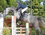 Scianaro Pakira GioCav2013 S6 7479 : Campionati Italiani Giovani Cavalli, Cattolica, Pakira, Scianaro Andrea, ph Stefano Secchi ©