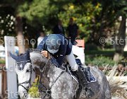 Scianaro Pakira GioCav2013 S6 7489 : Campionati Italiani Giovani Cavalli, Cattolica, Pakira, Scianaro Andrea, ph Stefano Secchi ©