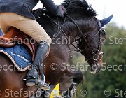 Sulmoni Cantini GioCav2013 S5 2819 : Campionati Italiani Giovani Cavalli, Cantini della Caccia, Cattolica, Sulmoni Clint, ph Stefano Secchi ©