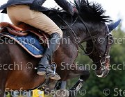 Sulmoni Cantini GioCav2013 S5 2820 : Campionati Italiani Giovani Cavalli, Cantini della Caccia, Cattolica, Sulmoni Clint, ph Stefano Secchi ©