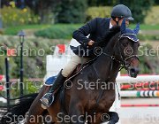 Sulmoni Cantini GioCav2013 S5 2831 : Campionati Italiani Giovani Cavalli, Cantini della Caccia, Cattolica, Sulmoni Clint, ph Stefano Secchi ©