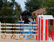 Sulmoni Cantini GioCav2013 S5 2836 : Campionati Italiani Giovani Cavalli, Cantini della Caccia, Cattolica, Sulmoni Clint, ph Stefano Secchi ©