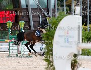 Sulmoni Cantini GioCav2013 S5 2842 : Campionati Italiani Giovani Cavalli, Cantini della Caccia, Cattolica, Sulmoni Clint, ph Stefano Secchi ©