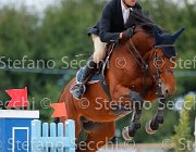 Sulmoni Cassirado GioCav2013 S5 2308 : Campionati Italiani Giovani Cavalli, Cassirado, Cattolica, Sulmoni Clint, ph Stefano Secchi ©