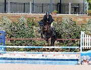 Sulmoni Sellia GioCav2013 S5 1833 : Campionati Italiani Giovani Cavalli, Cattolica, Sellia, Sulmoni Clint, ph Stefano Secchi ©
