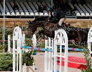 Sulmoni Sellia GioCav2013 S5 1836 : Campionati Italiani Giovani Cavalli, Cattolica, Sellia, Sulmoni Clint, ph Stefano Secchi ©