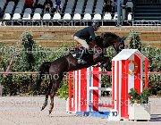 Sulmoni Sellia GioCav2013 S5 1838 : Campionati Italiani Giovani Cavalli, Cattolica, Sellia, Sulmoni Clint, ph Stefano Secchi ©