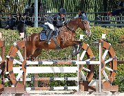 Tarasconi Pompidur GioCav2013 S6 7434 : Campionati Italiani Giovani Cavalli, Cattolica, Pompidur, Tarasconi Francesca, ph Stefano Secchi ©