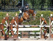 Tarasconi Pompidur GioCav2013 S6 7473 : Campionati Italiani Giovani Cavalli, Cattolica, Pompidur, Tarasconi Francesca, ph Stefano Secchi ©