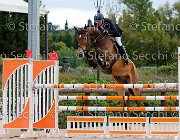 Tonali Scar GioCav2013 S5 3041 : Campionati Italiani Giovani Cavalli, Cattolica, Scar, Tonali Massimo, ph Stefano Secchi ©